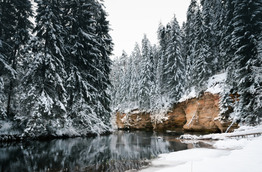Taevaskoda,And,Its,Nature,In,Estonian,Winter