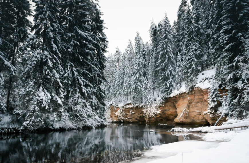 Taevaskoda,And,Its,Nature,In,Estonian,Winter